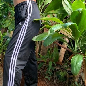Adidas Track Pants